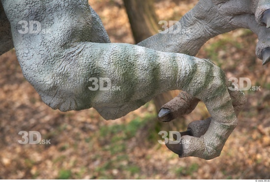 Foot Dinosaurus-Gigantosaurus