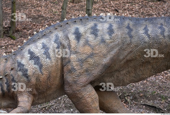 Chest Whole Body Dinosaurus-Ceratosaurus Animal photo references