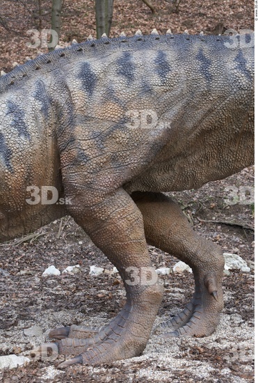 Leg Whole Body Dinosaurus-Ceratosaurus Animal photo references