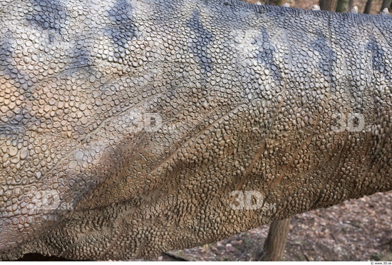 Whole Body Skin Dinosaurus-Ceratosaurus Animal photo references