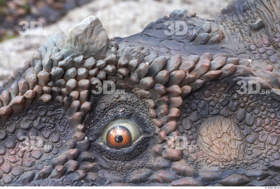 Eye Whole Body Dinosaurus-Ceratosaurus Animal photo references