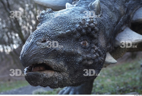 Head Dinosaurus-Sauropelta