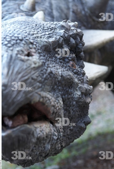 Head Dinosaurus-Sauropelta