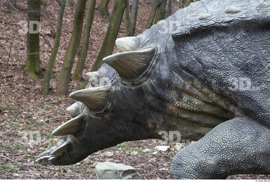 Tail Dinosaurus-Sauropelta