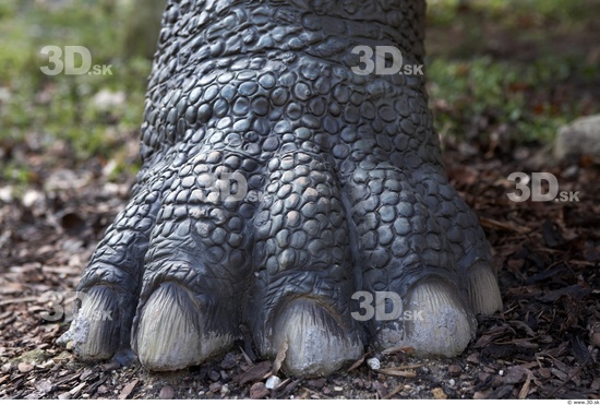 Foot Dinosaurus-Sauropelta