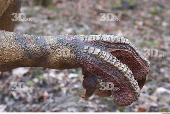 Foot Whole Body Dinosaurus-Saurian Animal photo references