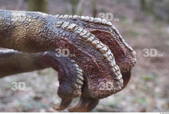 Foot Whole Body Dinosaurus-Saurian Animal photo references