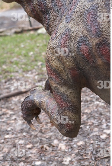 Hand Whole Body Dinosaurus-Saurian Animal photo references