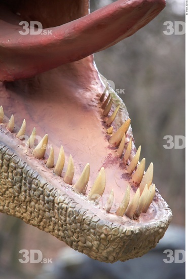 Whole Body Teeth Dinosaurus-Allosaurus Animal photo references