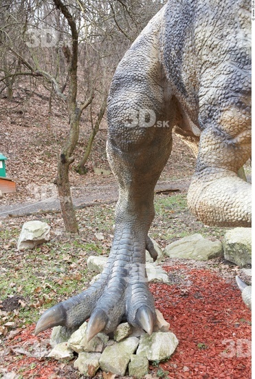 Leg Whole Body Dinosaurus-Allosaurus Animal photo references