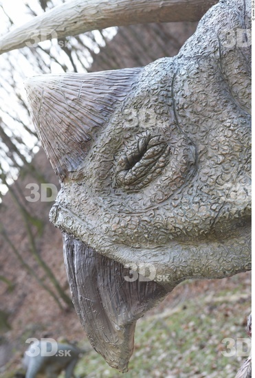 Nose Whole Body Dinosaurus-Triceratops Animal photo references