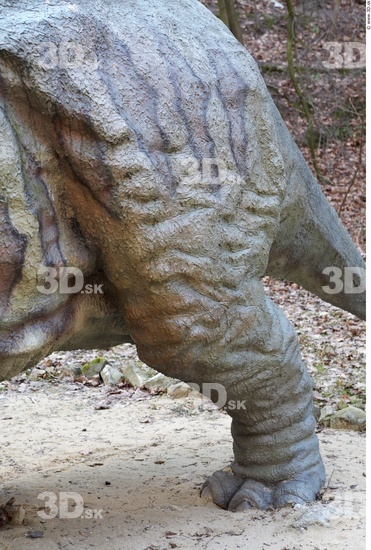 Leg Whole Body Dinosaurus-Triceratops Animal photo references