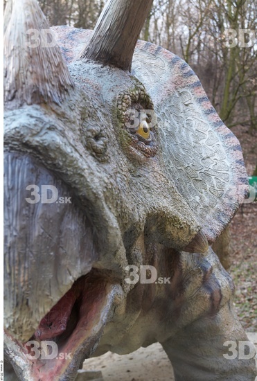 Face Whole Body Dinosaurus-Triceratops Animal photo references