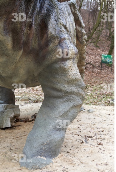 Leg Whole Body Dinosaurus-Triceratops Animal photo references