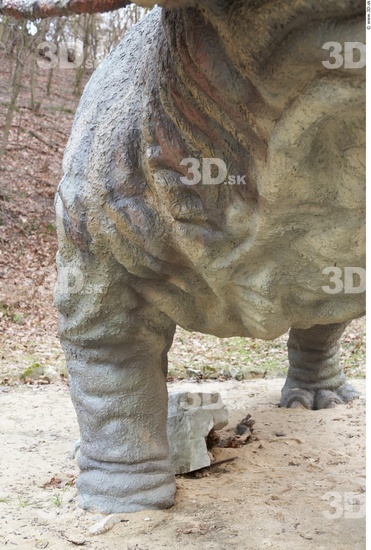 Leg Whole Body Dinosaurus-Triceratops Animal photo references