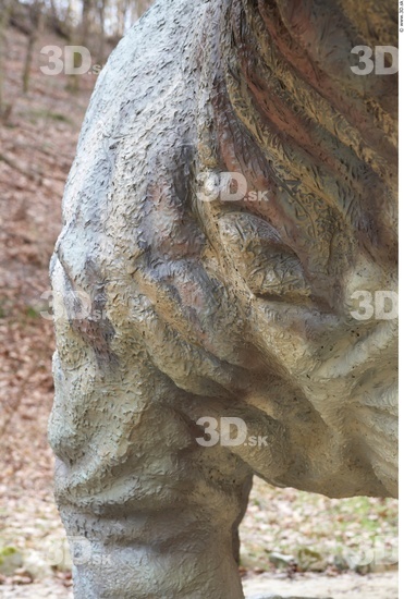 Thigh Whole Body Dinosaurus-Triceratops Animal photo references