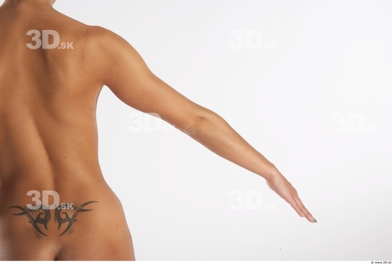 Arm Woman Animation references White Nude Slim