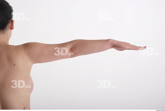 Arm Woman Animation references White Nude Average