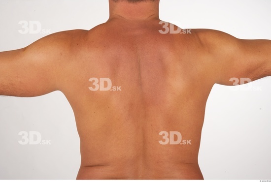 Whole Body Back Man White Nude Average Studio photo references