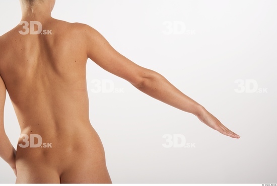 Arm Woman Animation references White Nude Slim