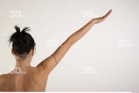 Arm Woman Animation references White Nude Slim