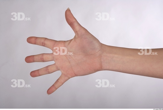 Hand Whole Body Woman Animation references Nude Average Studio photo references