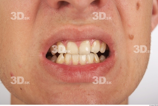 Teeth Man Average Studio photo references