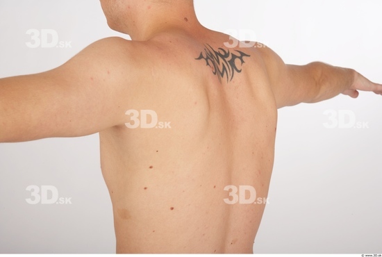 Back Man Tattoo Nude Average Studio photo references