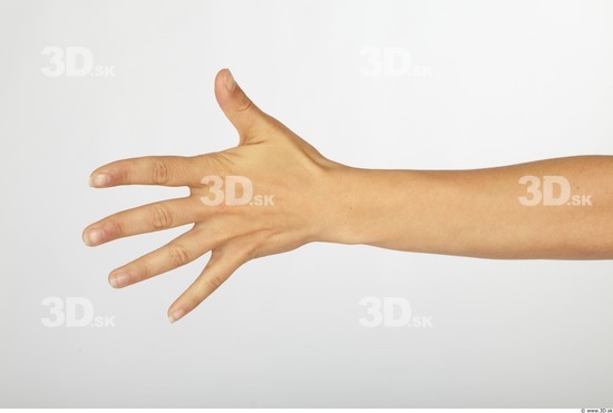 Hand Whole Body Woman Animation references Nude Chubby Studio photo references