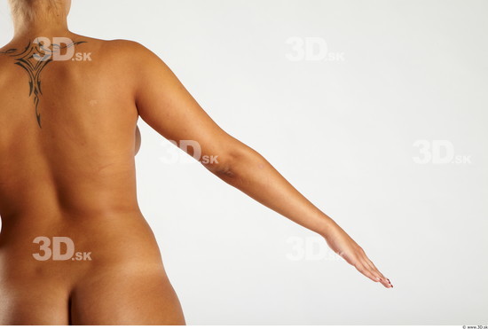 Upper Body Whole Body Woman Animation references Nude Chubby Studio photo references