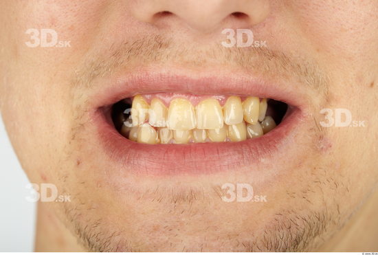 Whole Body Teeth Man Animation references Nude Slim Studio photo references