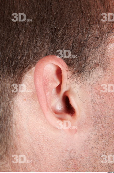 Ear Man Muscular Studio photo references