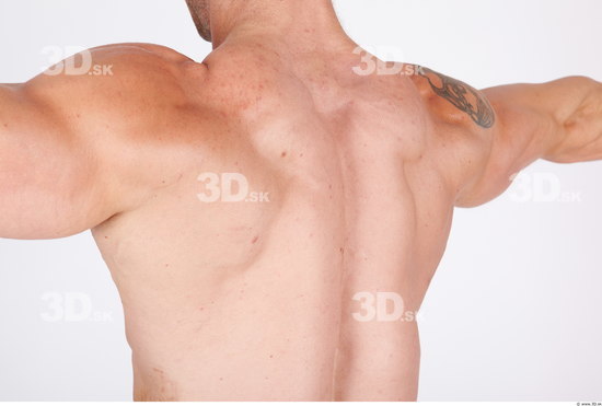 Back Man Nude Muscular Studio photo references