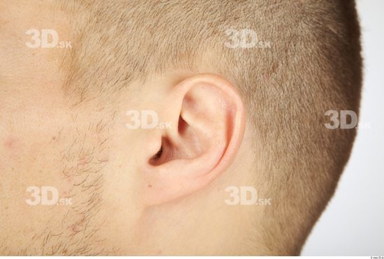 Ear Man Average Studio photo references