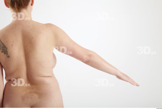 Woman Other White Nude Overweight Studio photo references