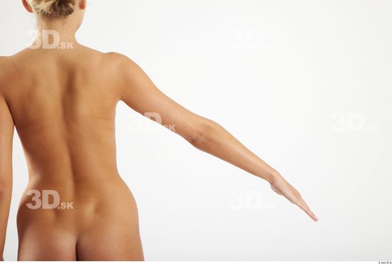 Arm Woman Animation references White Nude Slim