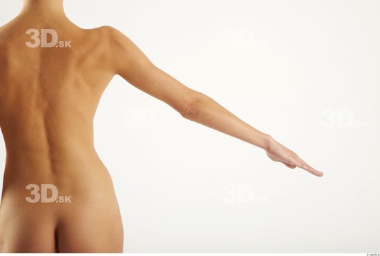 Arm Woman Animation references White Nude Slim