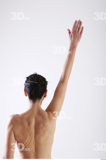 Arm Woman Animation references White Nude Slim