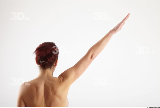 Arm Woman Animation references White Nude Average