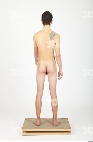 Whole Body Man Animation references Tattoo Nude Casual Slim Studio photo references