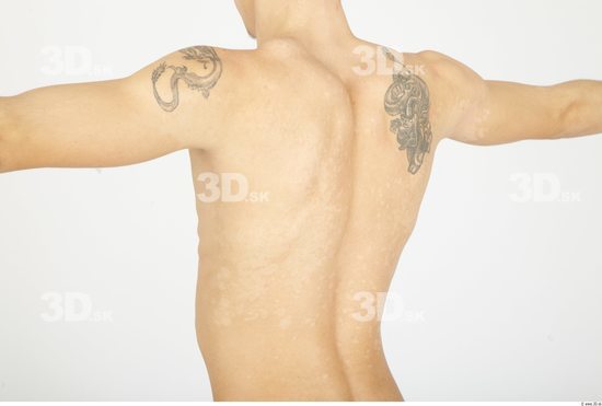 Whole Body Back Man Animation references Tattoo Nude Casual Slim Studio photo references