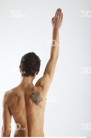 Arm Man Animation references White Tattoo Nude Slim