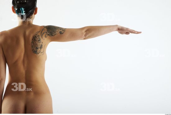 Arm Woman Animation references White Tattoo Nude Slim
