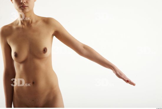 Arm Woman Animation references White Nude Slim