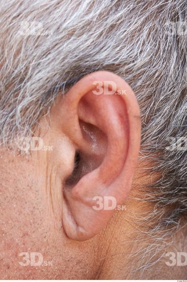 Ear Head Man Average Overweight Street photo references