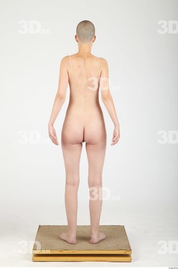 Whole Body Woman Animation references Nude Slim Studio photo references