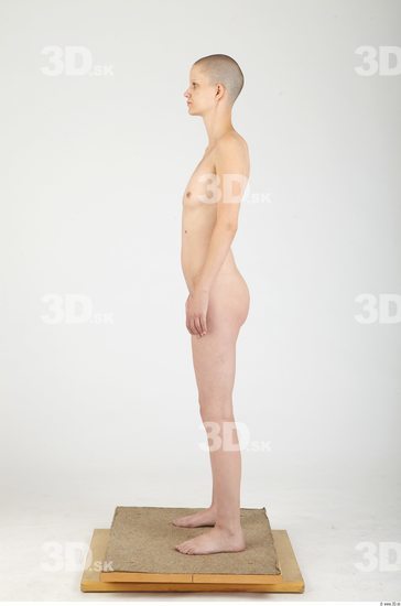 Whole Body Woman Animation references Nude Slim Studio photo references