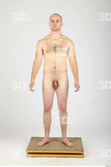 Whole Body Man Animation references Hairy Nude Casual Average Studio photo references