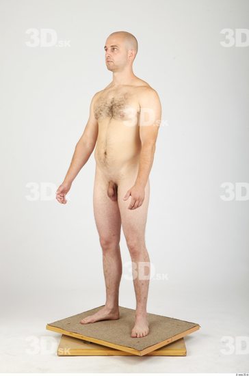 Whole Body Man Animation references Hairy Nude Casual Average Studio photo references