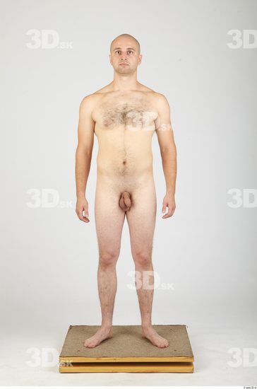 Whole Body Man Animation references Hairy Nude Casual Average Studio photo references